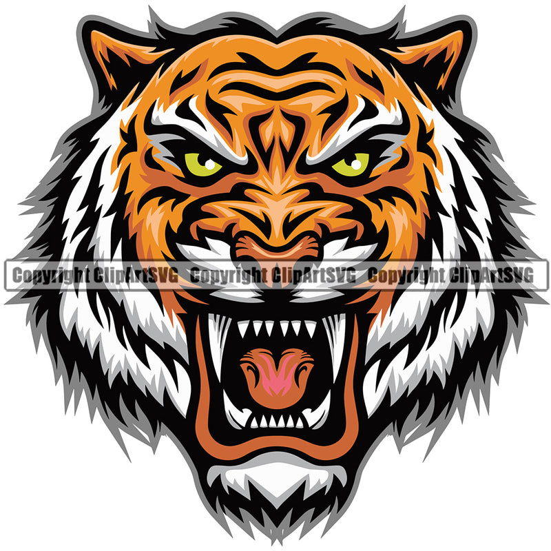 Wildcat  Aggressive  Hunter Tiger Vector Head Face Sports Team Mascot Game Fantasy eSport Emblem Color Logo Symbol Clipart SVG
