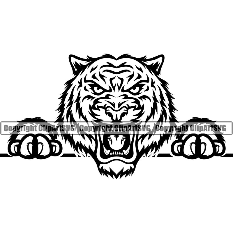 Wildcat Big Jungle Tiger Peeking Peek-A-Boo Sports Team Mascot Game Fantasy eSport Emblem Logo Symbol Clipart SVG