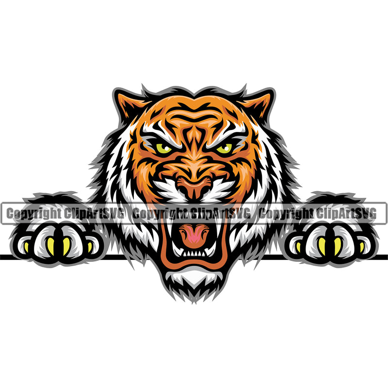 Aggressive Head Illustration Tiger Peeking Peek-A-Boo Head Face Sports Team Mascot Game Fantasy eSport Emblem Color Logo Symbol Clipart SVG