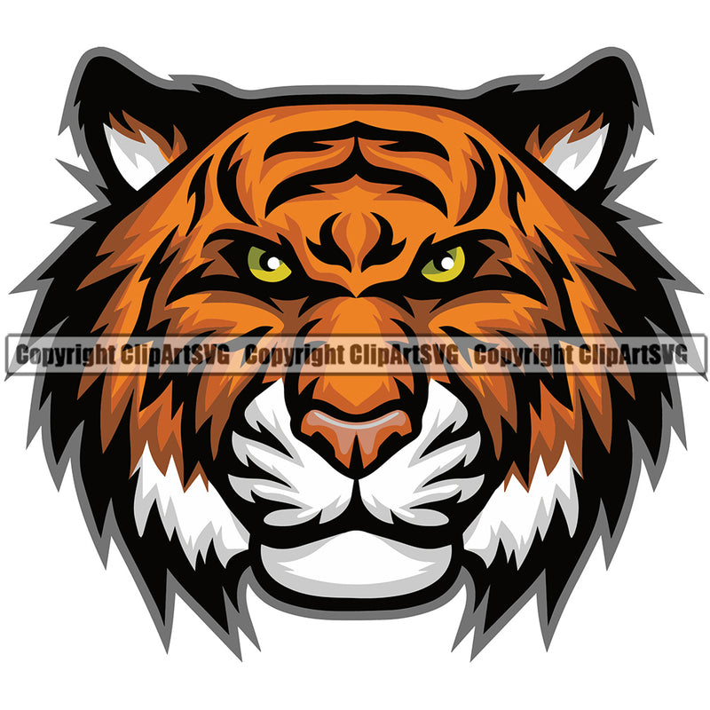 Wildcat Aggressive Animal Tigers Vector Art Head Face Sports Team Mascot Game Fantasy eSport Emblem Color Logo Symbol Clipart SVG