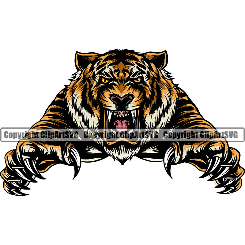 Wildcat  Aggressive Tiger Growl Growling Angry Head Face Sports Team Mascot Game Fantasy eSport Emblem Color Logo Symbol Clipart SVG