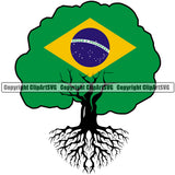 Country Map Nation National Tree Roots Born Brazil Flag Design Element Latin Latino Latina Brazilian Spanish Emblem Badge Symbol Icon Global Official Sign Design Logo Clipart SVG