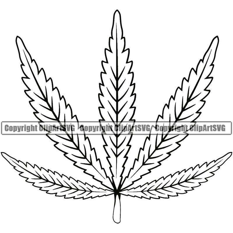 Black And White Marijuana Leaf Sunburst Vector Design Element BW Legalize Pot Organic Leaf Medical Medicine Health Herb Plant Cannabis Hemp Drug Grass Weed THC Legal Art Logo Clipart SVG