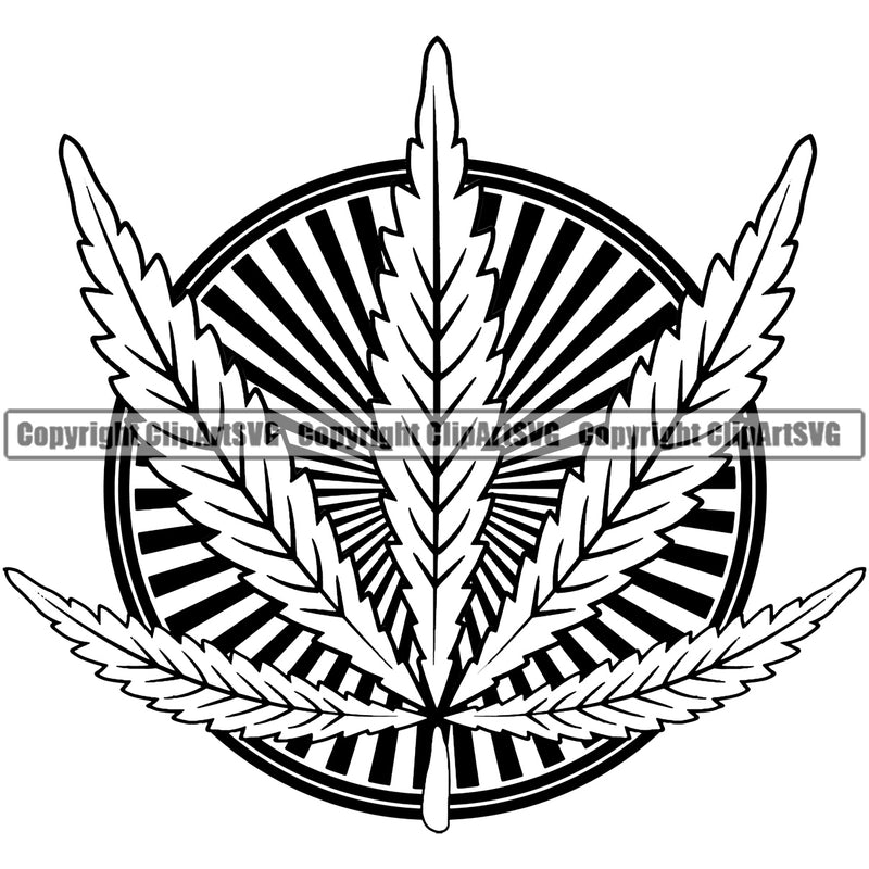 Black And White Marijuana Leaf Sunburst Vector Design Element Legalize Pot Organic Leaf Medical Medicine Health Herb Plant Cannabis Hemp Drug Grass Weed THC Legal Art Logo Clipart SVG