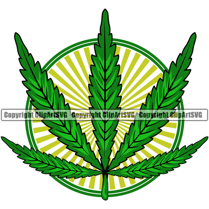 Marijuana Leaf Sunburst Vector Color Design Element White Background Legalize Pot Organic Leaf Medical Medicine Health Herb Plant Cannabis Hemp Drug Grass Weed THC Legal Art Logo Clipart SVG