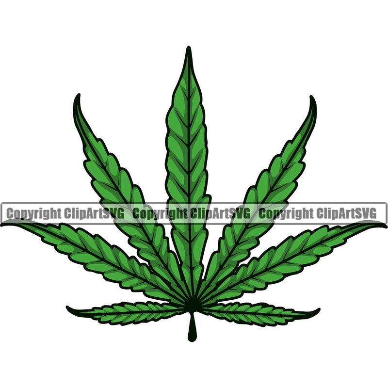 Hobby Marijuana Smoking Leaf Green Color Design Element White Background Legalize Pot Organic Leaf Medical Medicine Health Herb Plant Cannabis Hemp Drug Grass Weed THC Legal Art Logo Clipart SVG