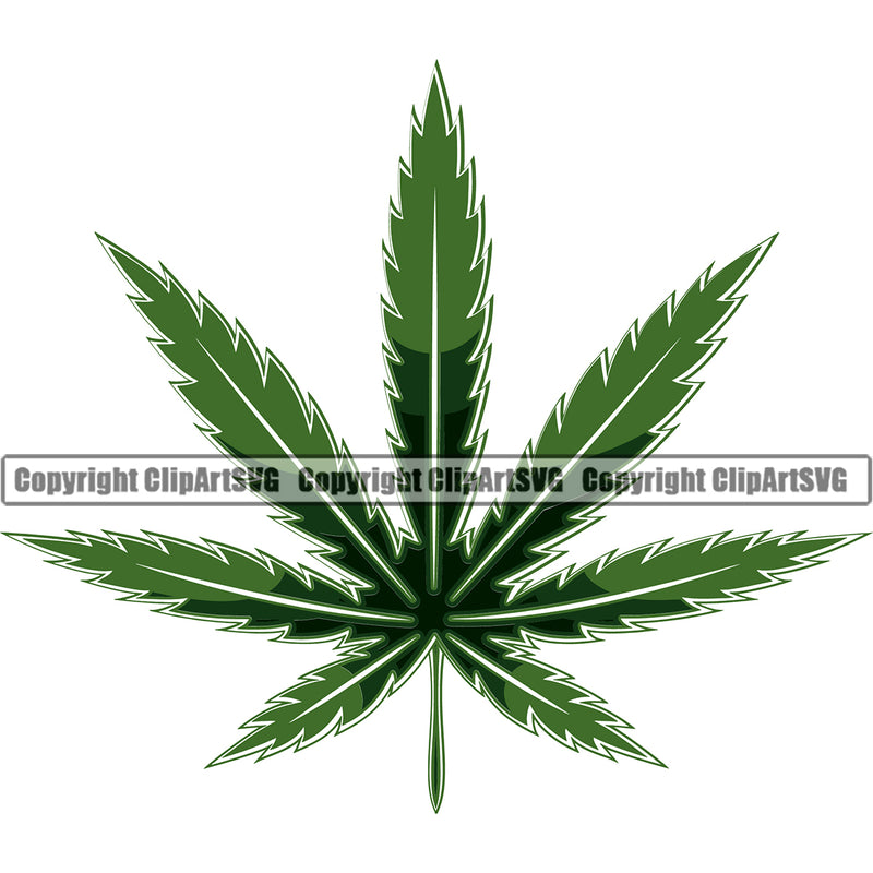 Hobby Smoking Leaf Green Color Marijuana Legalize Pot Organic Leaf White Background Medical Medicine Health Herb Plant Cannabis Hemp Drug Grass Weed THC Legal Art Logo Clipart SVG