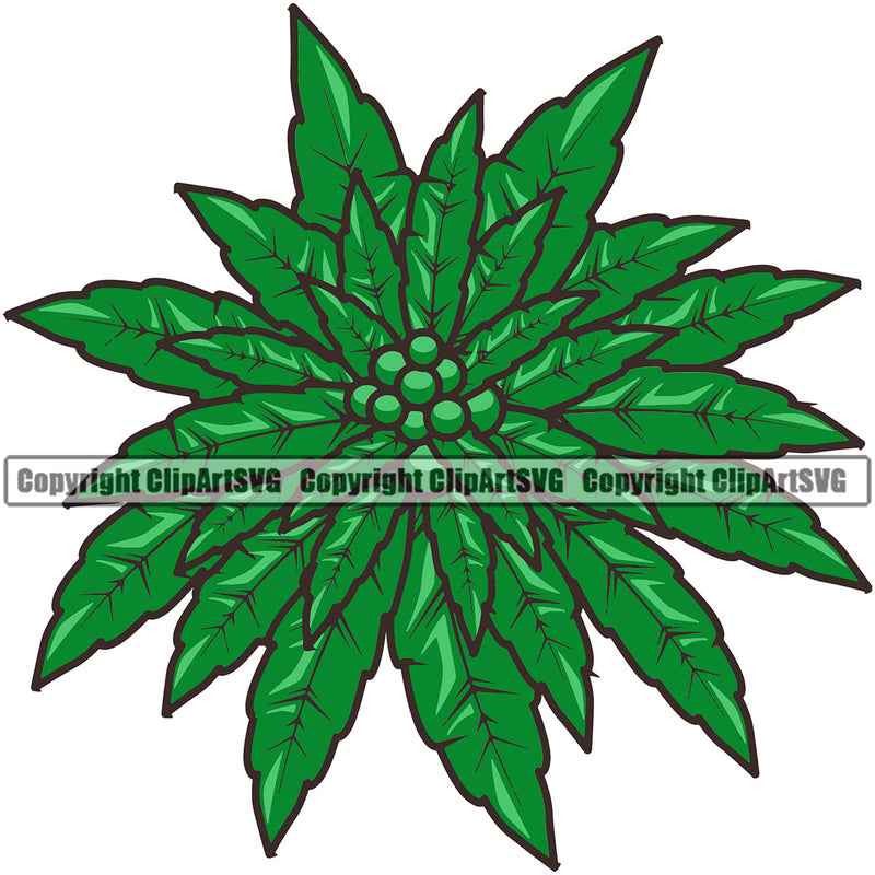 Smoking Marijuana Leaf Color Design Element Legalize Pot Organic Leaf Medical White Background Medicine Health Herb Plant Cannabis Hemp Drug Grass Weed THC Legal Art Logo Clipart SVG