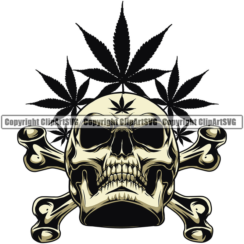 Skull Skeleton Head Crossbones Design Element Marijuana Leaf White Background Legalize Pot Organic Leaf Medical Medicine Health Herb Plant Cannabis Hemp Drug Grass Weed THC Legal Art Logo Clipart SVG