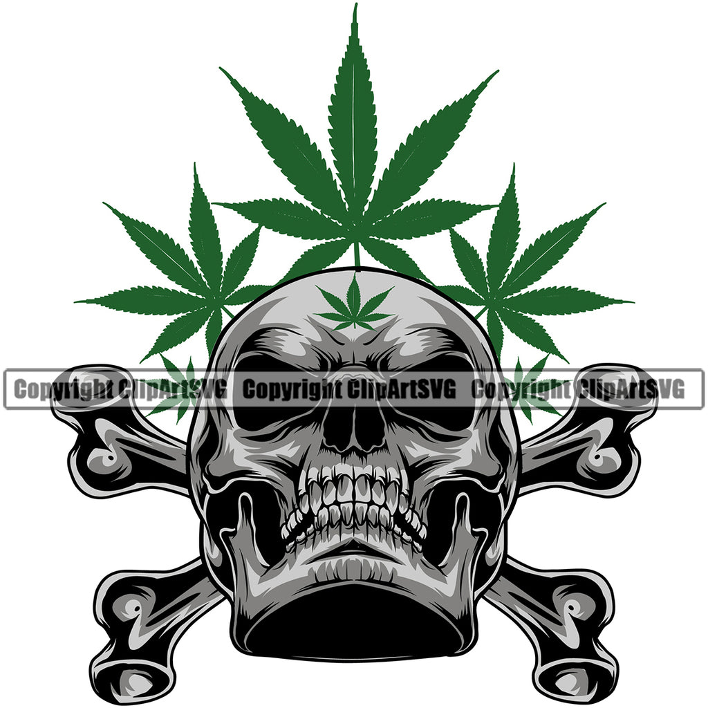 Skull Skeleton Head Cross Bones Silver Color Design Element Marijuana Leaf Vector Legalize Pot Organic Leaf Medical Medicine Health Herb Plant Cannabis Hemp Drug Grass Weed THC Legal Art Logo Clipart SVG
