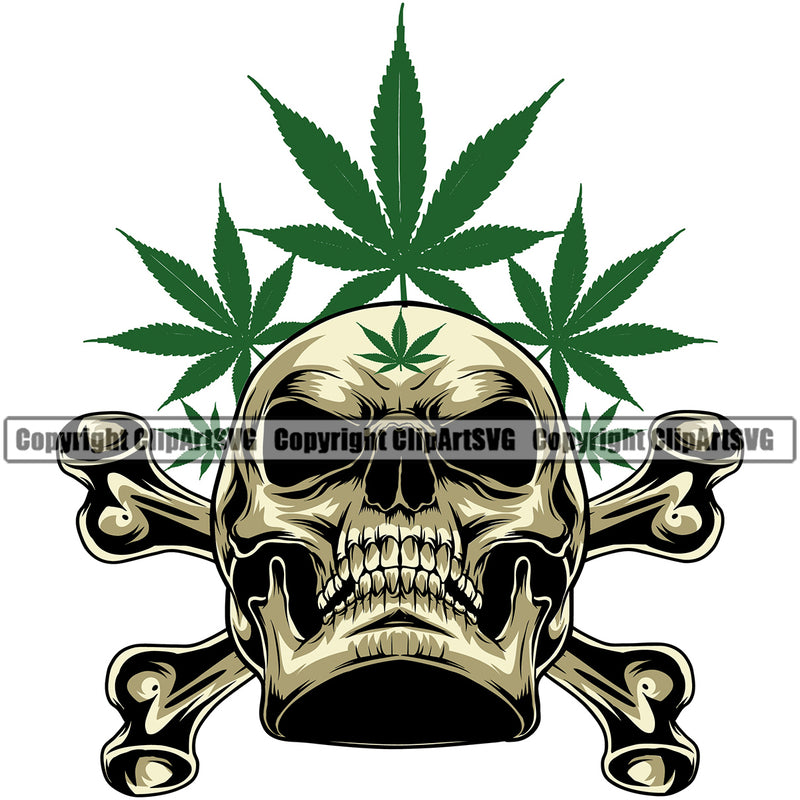 Skull Skeleton Golden Color Head Cross Bones Silver Color Design Element Marijuana Leaf Vector Legalize Pot White Background Organic Leaf Medical Medicine Health Herb Plant Cannabis Hemp Drug Grass Weed THC Legal Art Logo Clipart SVG