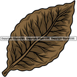Smoking Health Tobacco Leaf Brown Color Design Element White Background Quit Quitting Smoke Awareness Disease Addiction Smoker Addicted Addict Art Logo Clipart SVG