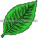 Hobby Smoking Health Tobacco Leaf Green Color Design Element White Background Quit Quitting Smoke Awareness Disease Addiction Smoker Addicted Addict Art Logo Clipart SVG