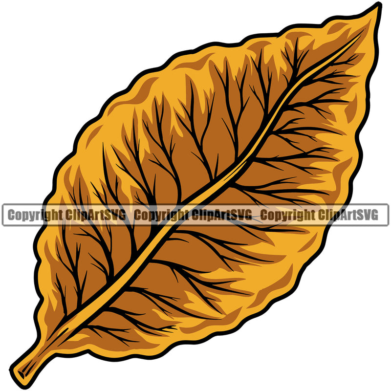 Hobby Smoking Health Tobacco Leaf Color Design Element White Background Quit Quitting Smoke Awareness Disease Addiction Smoker Addicted Addict Art Logo Clipart SVG