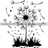 Nature Flower Dandelion Vector Design Element Floral Plant Leaf Garden Gardener Blossom Bouquet Bloom Flora Rose Stem Botany Logo Clipart SVG