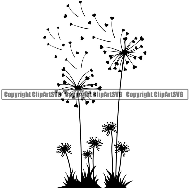 Nature Flower Dandelion Blow Wind Vector Design Element Floral Plant Leaf Garden Gardener Blossom Bouquet Bloom Flora Rose Stem Botany Logo Clipart SVG