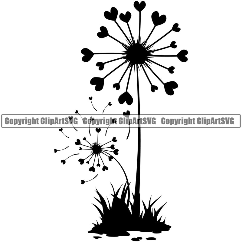 Nature Flower Dandelion Heart Design Element Floral Plant Leaf Garden Gardener Blossom Bouquet Bloom Flora Rose Stem Botany Logo Clipart SVG