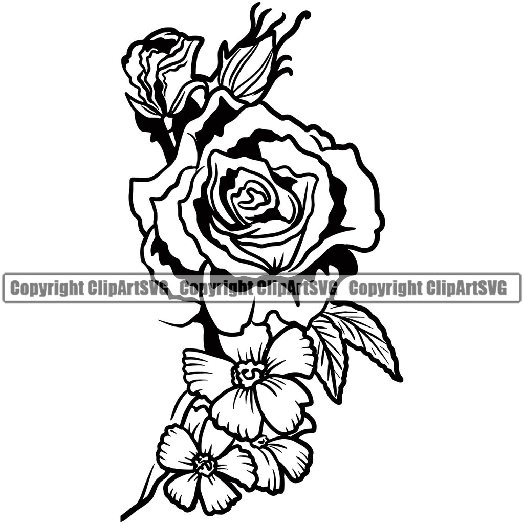 Nature Flower Rose Vector Design Element Floral Plant Leaf Garden