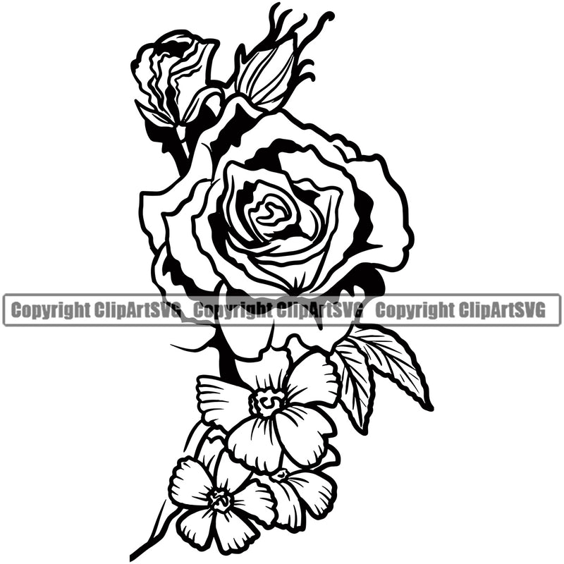 Nature Flower Rose Vector Design Element Floral Plant Leaf Garden Gardener Blossom Bouquet Bloom Flora Rose Stem Botany Logo Clipart SVG