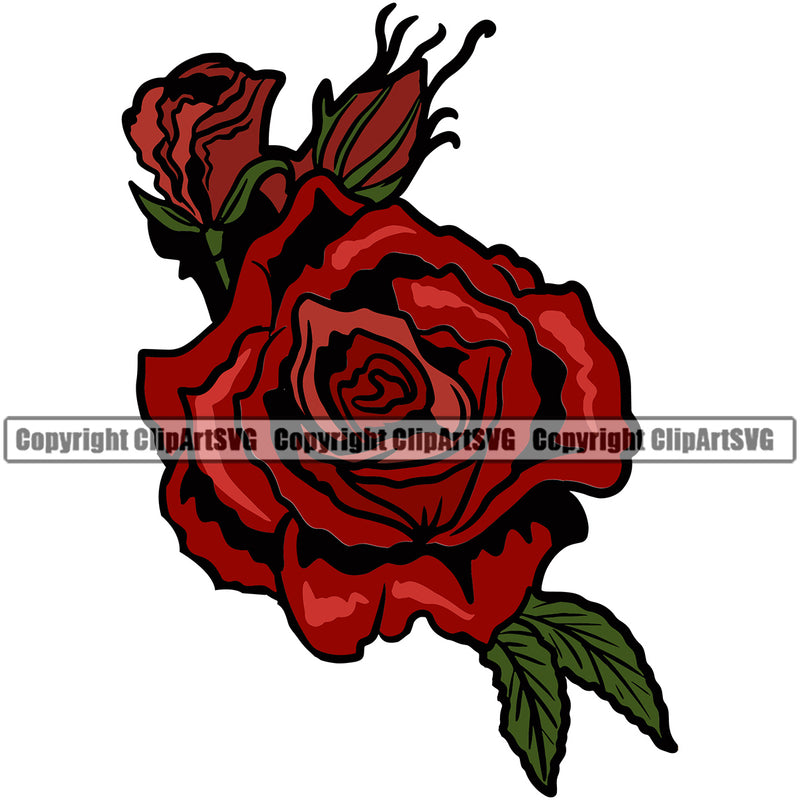 Nature Flower Roses Red Color Vector Design Element Floral Plant Leaf Garden Gardener Blossom Bouquet Bloom Flora Rose Stem Botany Logo Clipart SVG