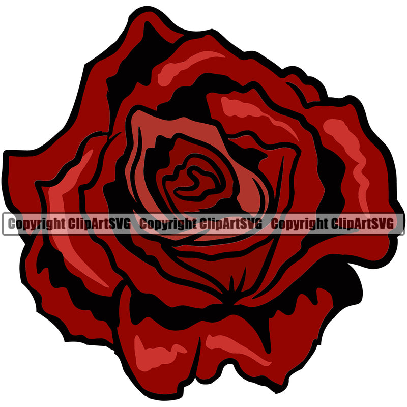 Nature Flower Red Rose Vector Design Element Floral Plant Leaf Garden Gardener Blossom Bouquet Bloom Flora Rose Stem Botany Logo Clipart SVG