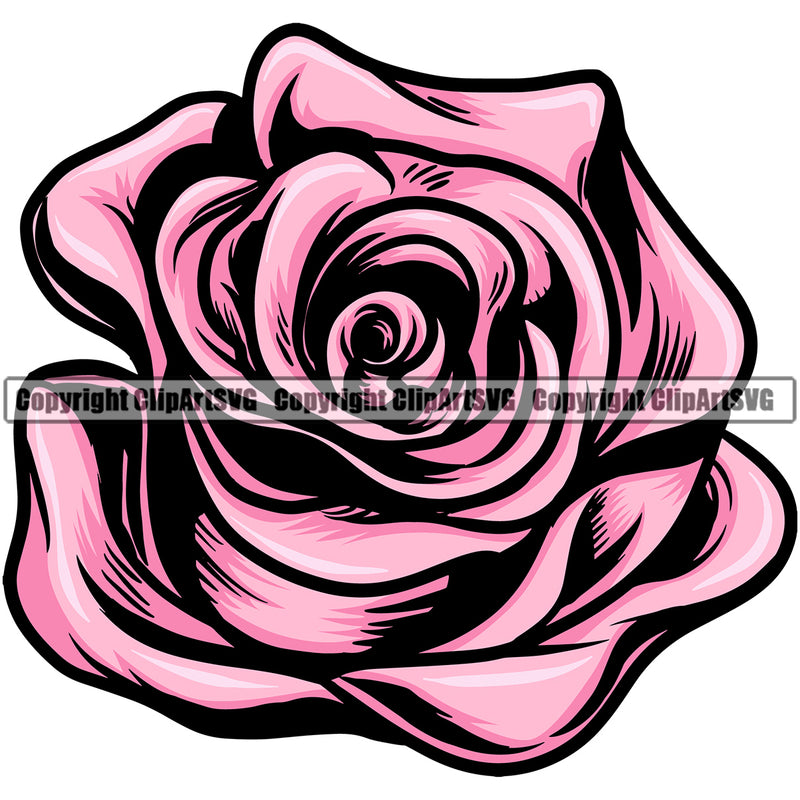 Nature Flower Pink Violet Purple Color Rose Vector Design Element Floral Plant Leaf Garden Gardener Blossom Bouquet Bloom Flora Rose Stem Botany Logo Clipart SVG