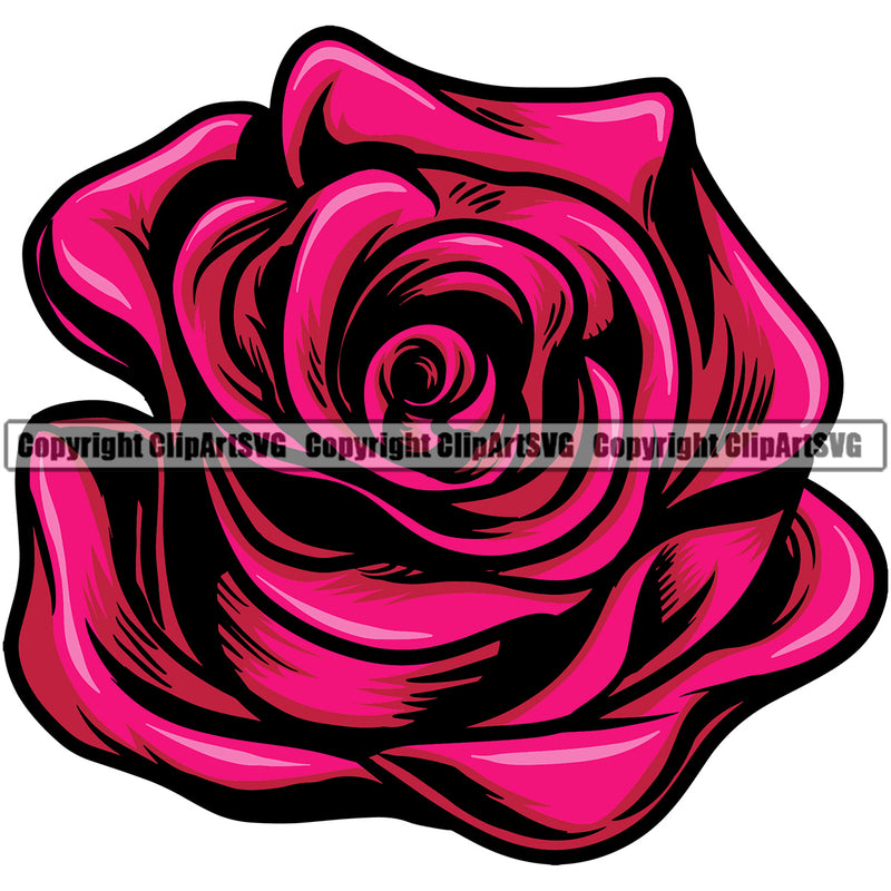 Nature Flower Rose Hot Pink Color Vector Design Element Floral Plant Leaf Garden Gardener Blossom Bouquet Bloom Flora Rose Stem Botany Logo Clipart SVG