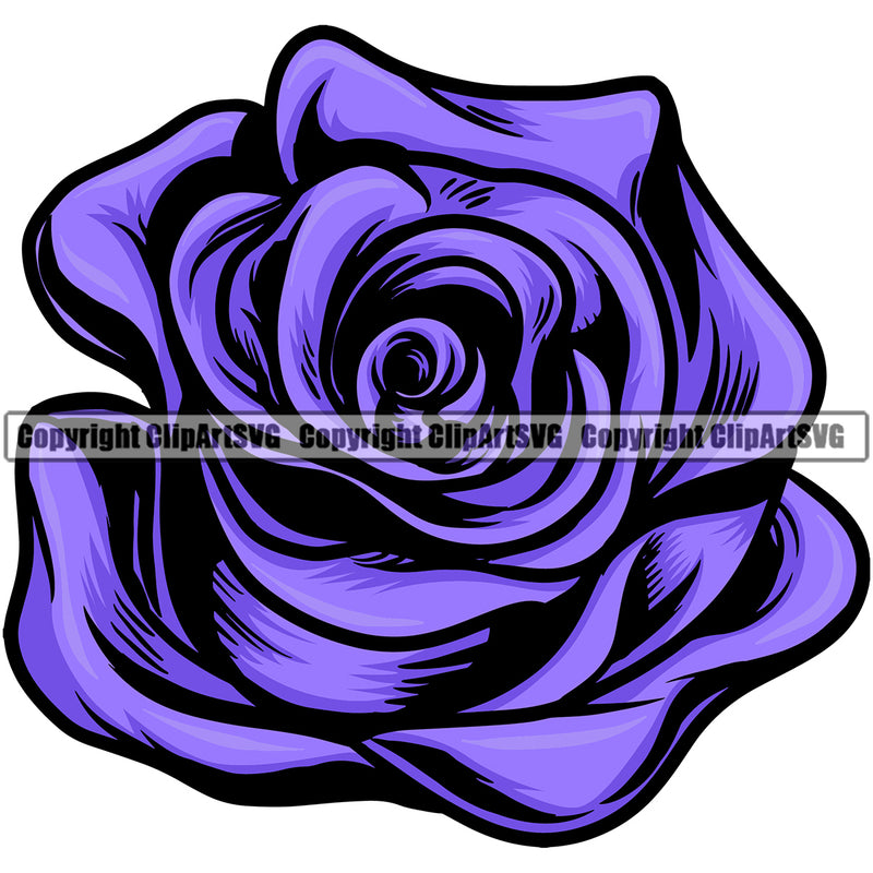 Nature Flower Rose Purple Color Vector Design Element Floral Plant Leaf Garden Gardener Blossom Bouquet Bloom Flora Rose Stem Botany Logo Clipart SVG