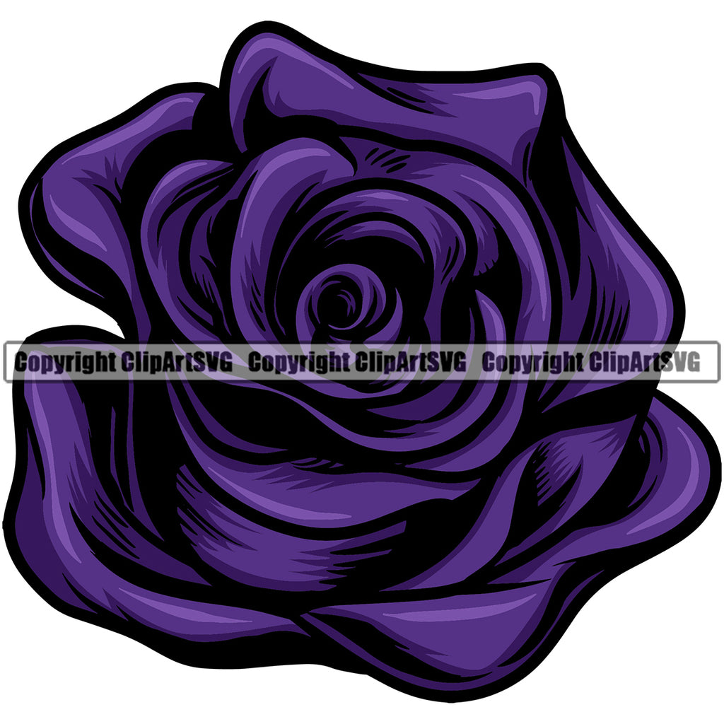Nature Flower Color Purple Vector Design Element Floral Plant Leaf Garden Gardener Blossom Bouquet Bloom Flora Rose Stem Botany Logo Clipart SVG