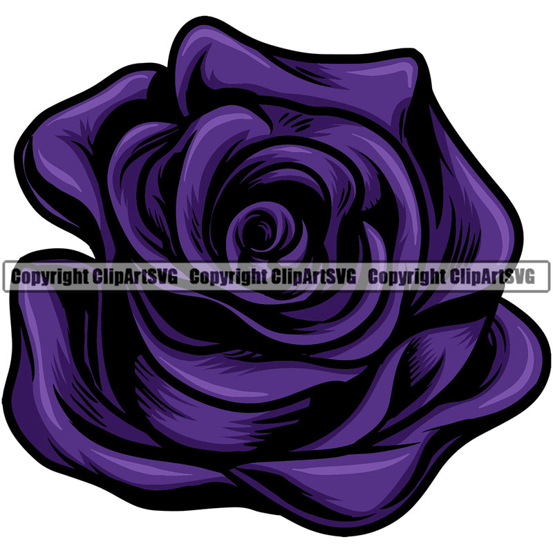 Nature Flower Color Purple Vector Design Element Floral Plant Leaf Garden Gardener Blossom Bouquet Bloom Flora Rose Stem Botany Logo Clipart SVG