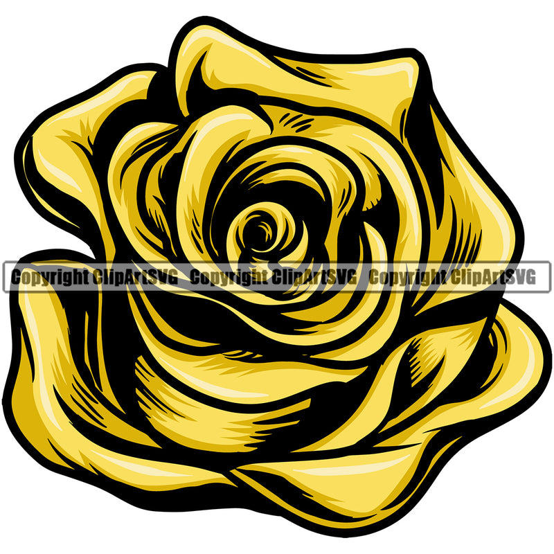 Nature Flower Yellow Color White Background Design Element Floral Plant Leaf Garden Gardener Blossom Bouquet Bloom Flora Rose Stem Botany Logo Clipart SVG