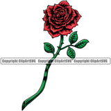 Nature Flower Red Color Rose Green Leave White Background Floral Plant Leaf Garden Gardener Blossom Bouquet Bloom Flora Rose Stem Botany Logo Clipart SVG