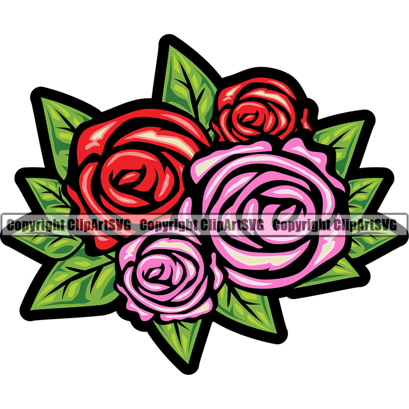 Nature Flower Rose Colorful Design Element White Background Floral Plant Leaf Garden Gardener Blossom Bouquet Bloom Flora Rose Stem Botany Logo Clipart SVG