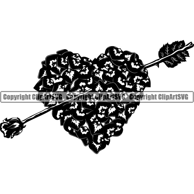Nature Flower Rose Peta l Love Arrow Heart Shape Shaped Vector Design Element Floral Plant Leaf Garden Gardener Blossom Bouquet Bloom Flora Rose Stem Botany Logo Clipart SVG