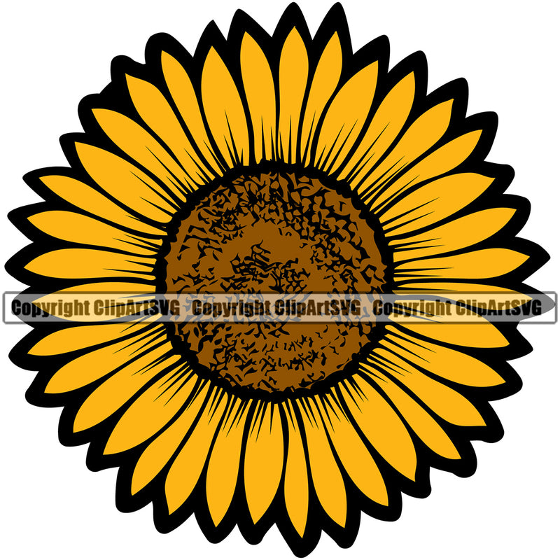 Nature Flower Sunflower Color Design Element White Background Floral Plant Leaf Garden Gardener Blossom Bouquet Bloom Flora Rose Stem Botany Logo Clipart SVG