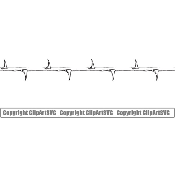 Nature Flower Thorns White Color Line Straight Design Element White Background Floral Plant Leaf Garden Gardener Blossom Bouquet Bloom Flora Rose Stem Botany Border Outline Logo Clipart SVG
