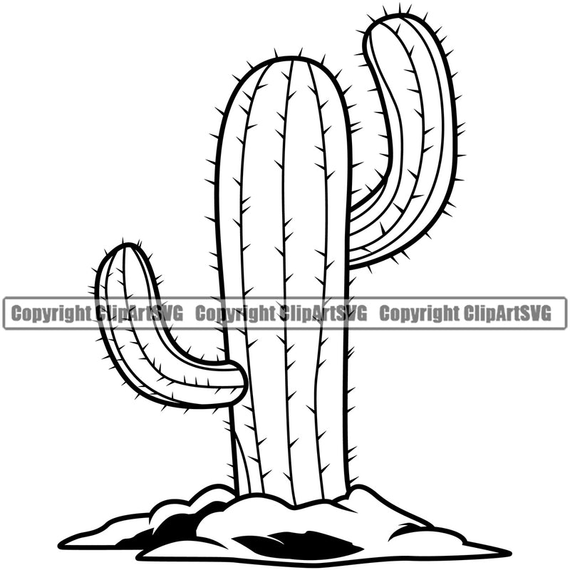 Nature Plant Cactus Artwork Vector Design Element Tree Green Landscape Landscaping Landscaper Forest Foliage Leaf Summer Plant Garden Gardener Outdoor Spring Botany Clipart SVG