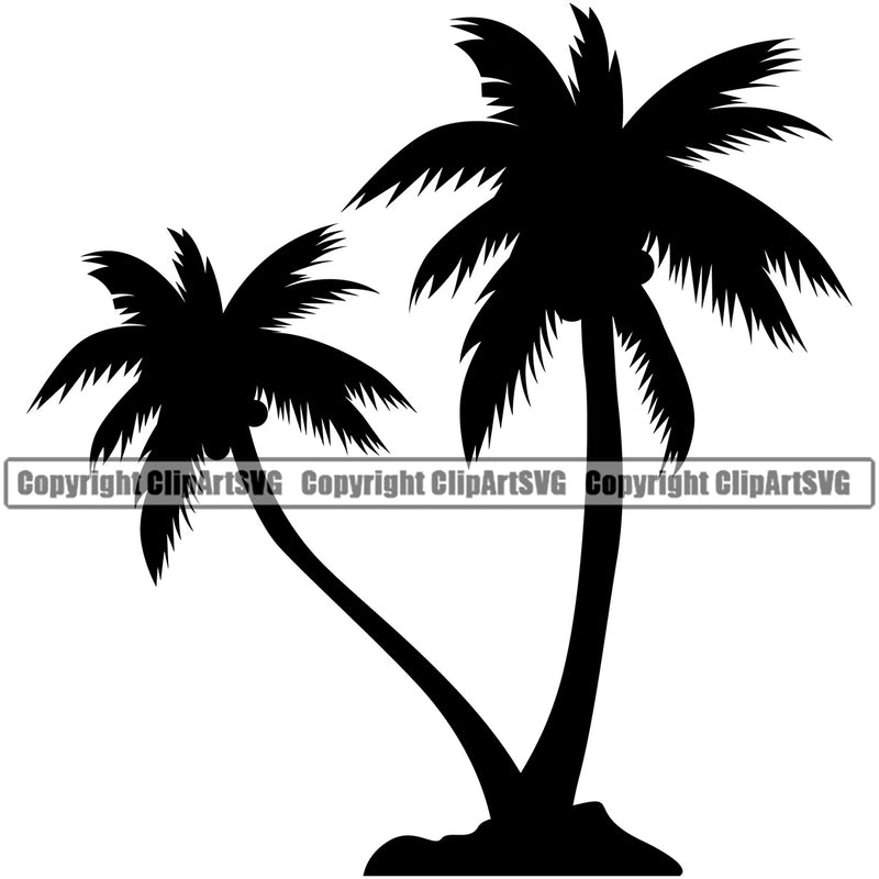Nature Tree Palm Silhouette White Background Green Landscape Landscaping Landscaper Forest Foliage Leaf Summer Plant Garden Gardener Outdoor Spring Botany Clipart SVG