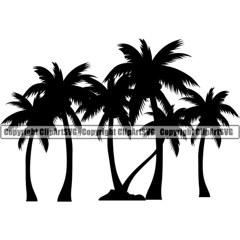 Nature Tree Palm Silhouette White Background Green Landscape Landscaping Landscaper Forest Foliage Leaf Summer Plant Garden Gardener Outdoor Spring Botany Clipart SVG