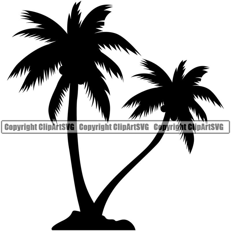 Nature Tree Palm Tree Silhouette White Background Design Element Green Landscape Landscaping Landscaper Forest Foliage Leaf Summer Plant Garden Gardener Outdoor Spring Botany Clipart SVG
