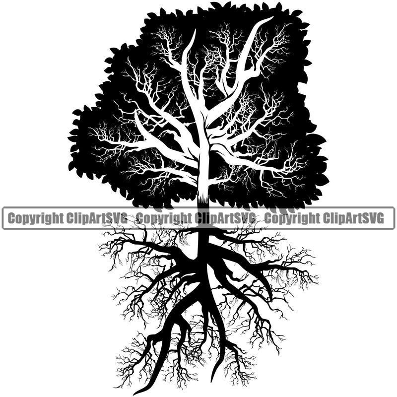 Nature Tree Root Vector White Background Design Element Green Landscape Landscaping Landscaper Forest Foliage Leaf Summer Plant Garden Gardener Outdoor Spring Botany Clipart SVG