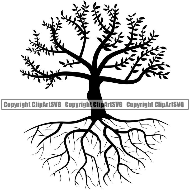 Nature Tree Root Color Design Element White Background Green Landscape Landscaping Landscaper Forest Foliage Leaf Summer Plant Garden Gardener Outdoor Spring Botany Clipart SVG