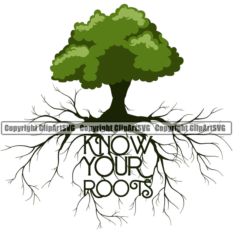 Nature Tree Root Leaves Green Color White Background Vector Design Element Green Landscape Landscaping Landscaper Forest Foliage Leaf Summer Plant Garden Gardener Outdoor Spring Botany Clipart SVG