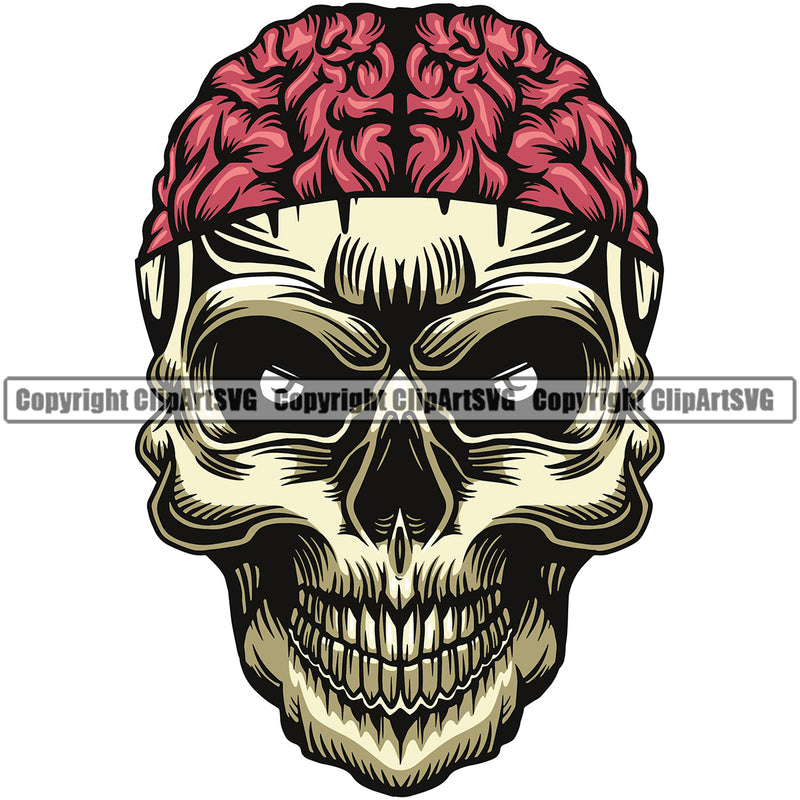 Skull Skeleton Head Brain Color Design Element White Background Death Head Skeleton Dead Face Horror Human Bone Evil Tattoo Grunge Scary Gothic Art Logo Clipart SVG