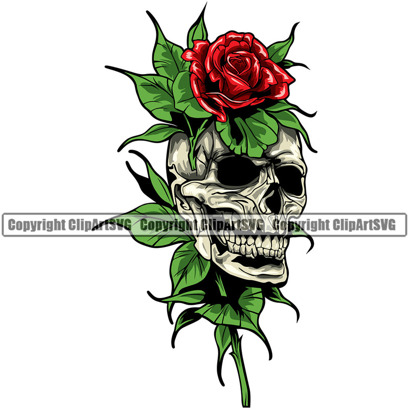 Skull Skeleton Head On Red Rose Flower Design Element White Background Cute Female Skull EMO Dead Death Skeleton Tattoo Vintage Retro Horror Woman Gothic Girl Pretty Lady Art Logo Clipart SVG