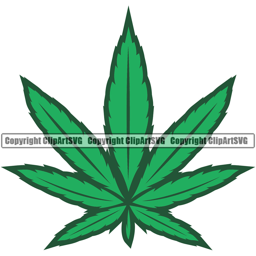 Marijuana Green Color Leaf Vector White Background Design Element Legalize Pot Organic Leaf Medical Medicine Health Herb Plant Cannabis Hemp Drug Grass Weed THC Legal Art Logo Clipart SVG