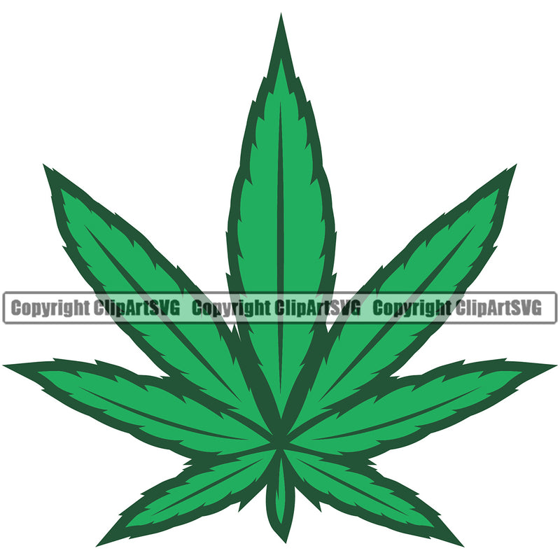 Marijuana Green Color Leaf Vector White Background Design Element Legalize Pot Organic Leaf Medical Medicine Health Herb Plant Cannabis Hemp Drug Grass Weed THC Legal Art Logo Clipart SVG
