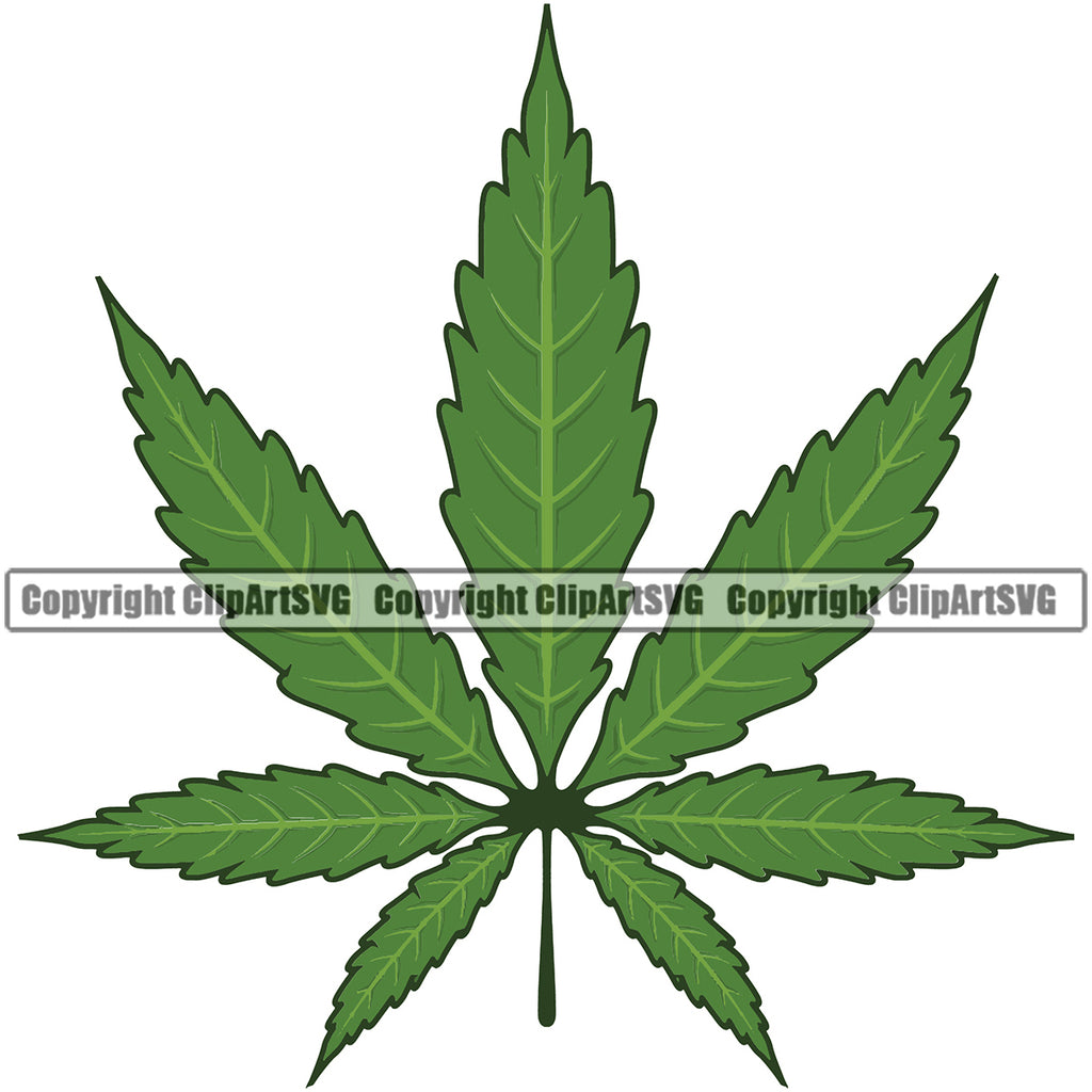 Marijuana Leaf Green Color Design Legalize Pot Organic Leaf Medical Medicine Health Herb Plant Cannabis Hemp Drug Grass Weed THC Legal Art Logo Clipart SVG