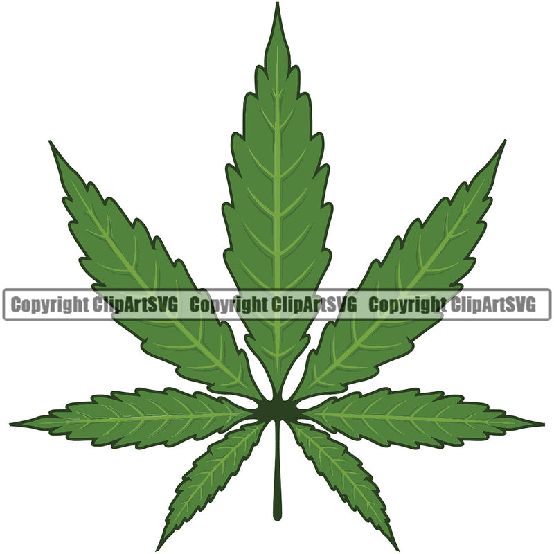Marijuana Leaf Green Color Design Legalize Pot Organic Leaf Medical Medicine Health Herb Plant Cannabis Hemp Drug Grass Weed THC Legal Art Logo Clipart SVG