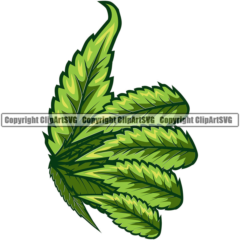 Marijuana Leaf Green Color Wings Side Design Element Single Wings Vector Legalize Pot Organic Leaf Medical Medicine Health Herb Plant Cannabis Hemp Drug Grass Weed THC Legal Art Logo Clipart SVG